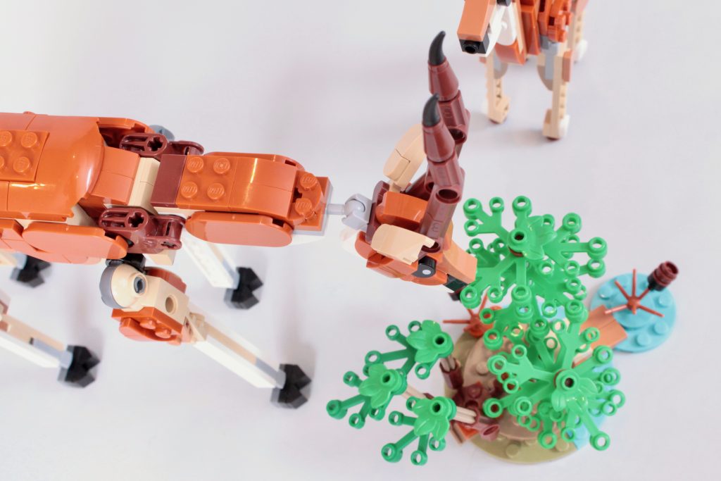 LEGO Creator 3 in 1 31150 Wild Safari Animals review 28 1024x683