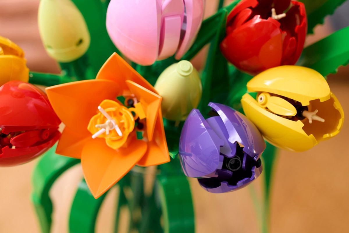 LEGO Botanicals 11501 Tulip Bouquet 12 1200x800