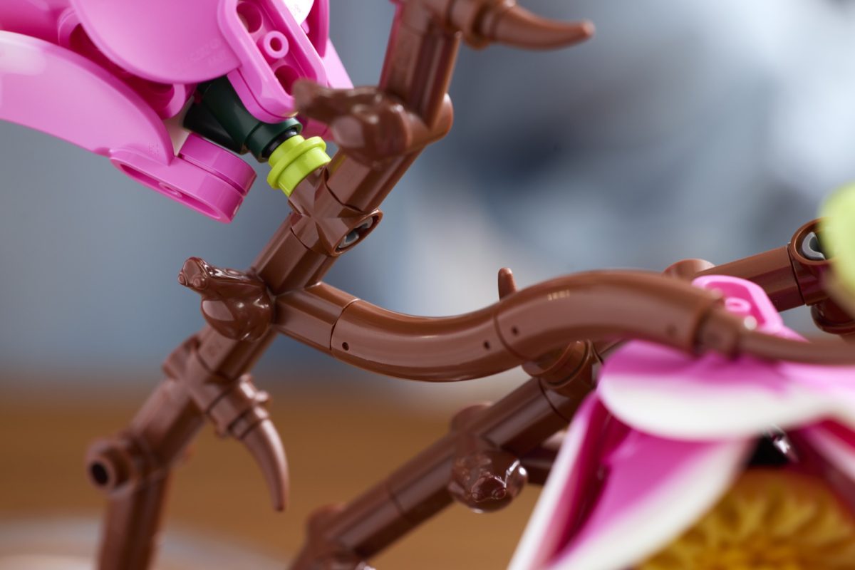 LEGO Botanicals 11510 Magnolia Branches 10 1200x800