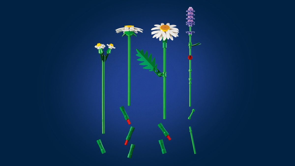 LEGO Botanicals 11508 Daisies 20 1200x675