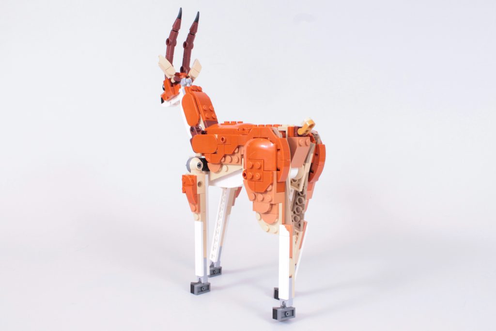 LEGO Creator 3 in 1 31150 Wild Safari Animals review 24 1024x683