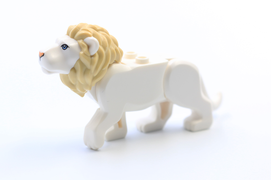 Lion1
