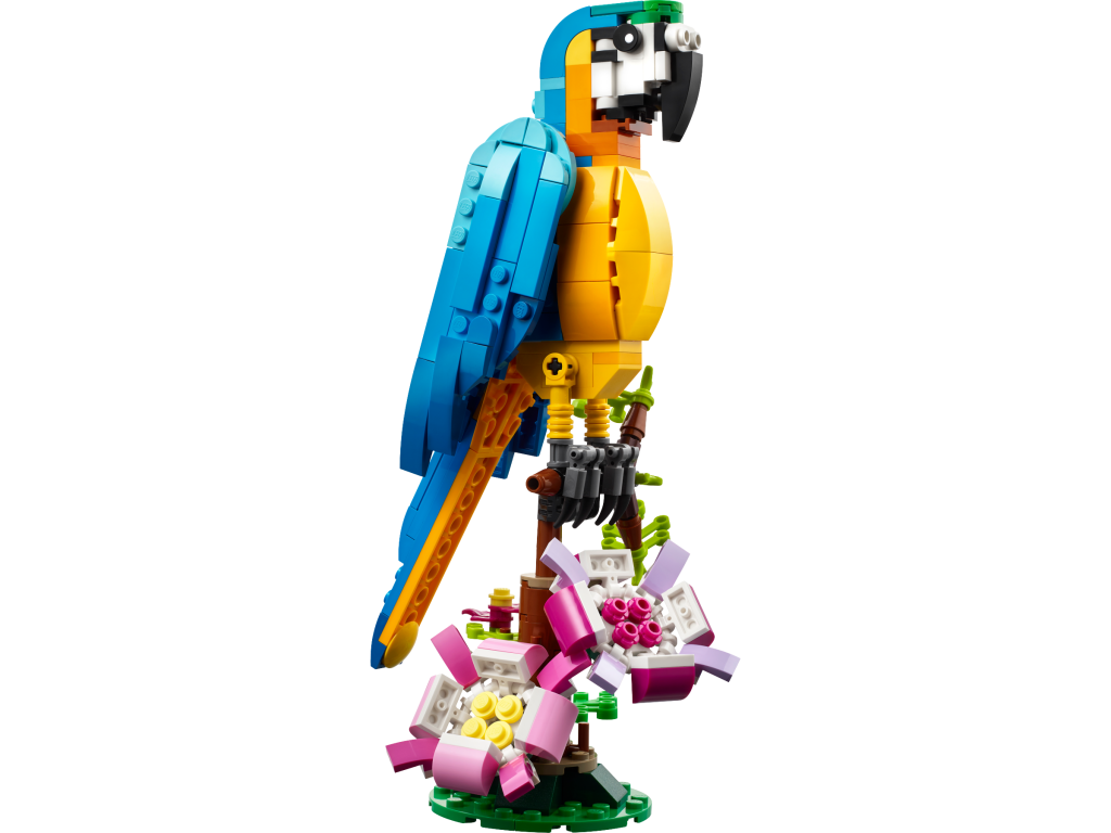 31136 Exotic Parrot 2 1024x768