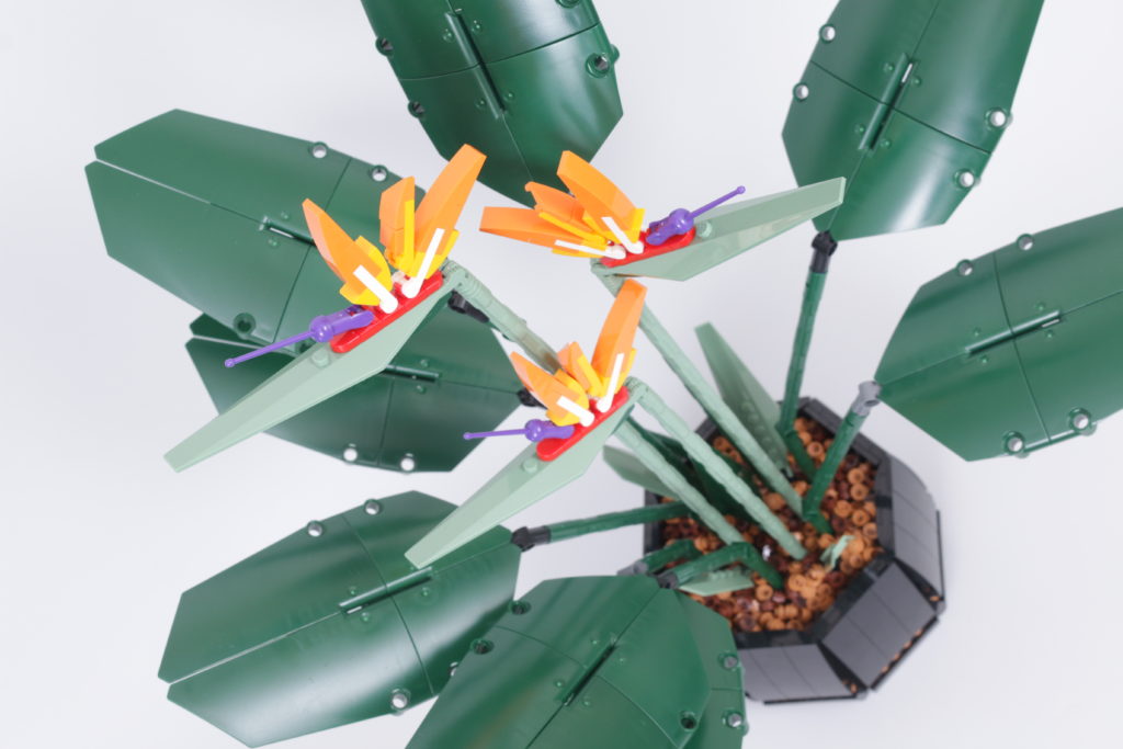 LEGO Botanical Collection 10289 Bird Of Paradise review 24