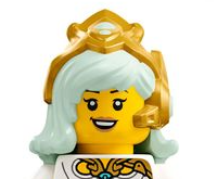 lego 71500 hair crown