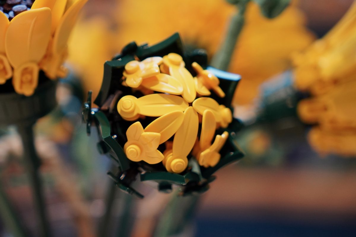 LEGO Botanicals 11502 Sunflower Bouquet review 9 1200x800