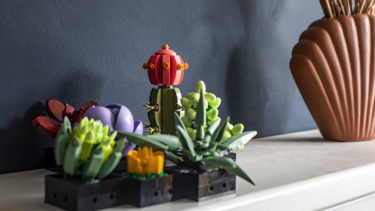 LEGO 10309 Succulents and 10311 Orchid available now