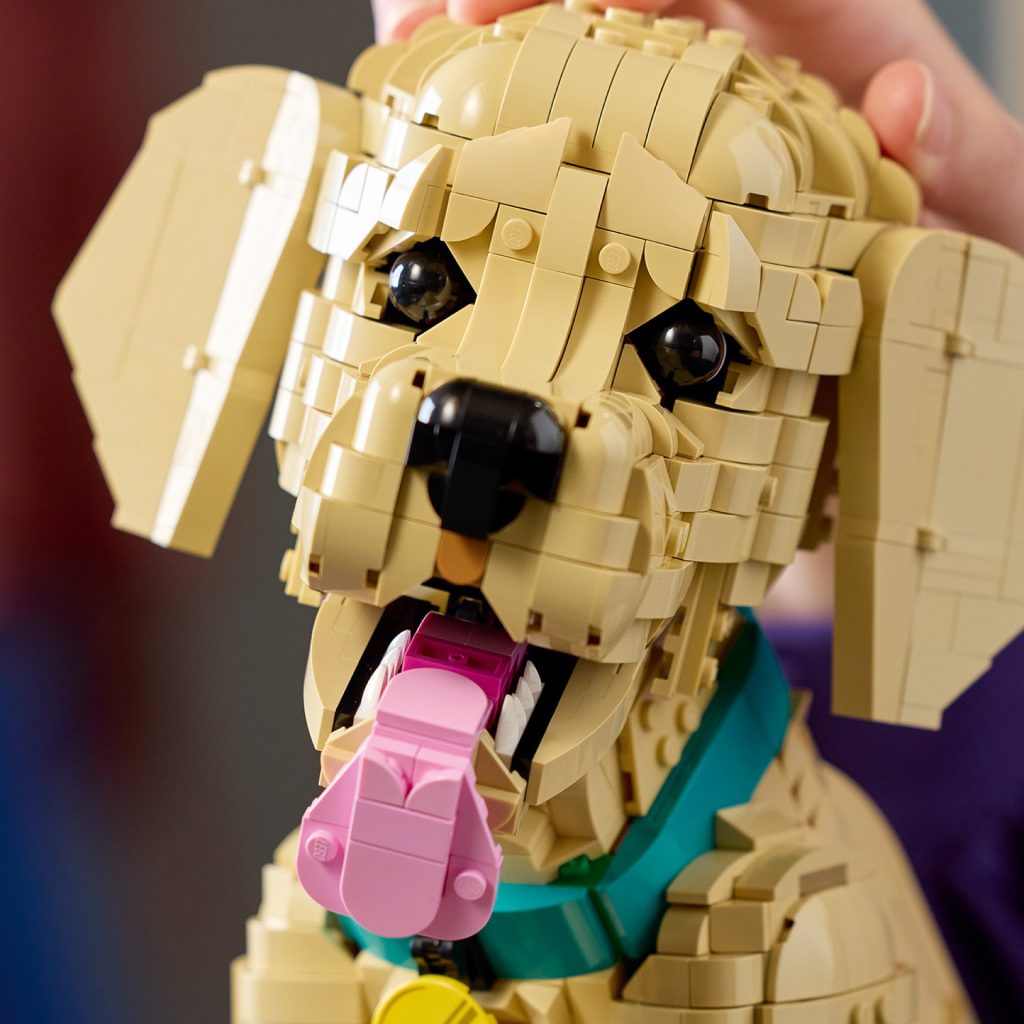 LEGO Icons 11384 Golden Retriever Puppy 5 1024x1024