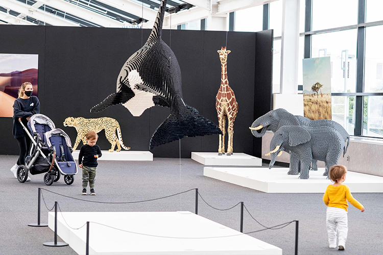 LEGO Art of the Brick Animals