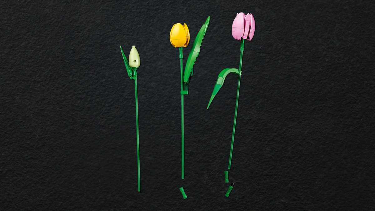 LEGO Botanicals 11501 Tulip Bouquet 21 1200x675