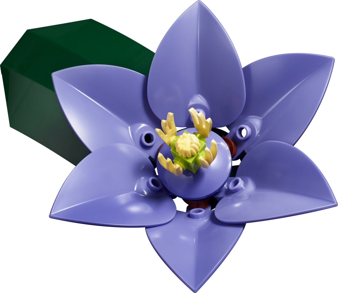LEGO Botanicals 11503 Flower Wall 7 1179x1024