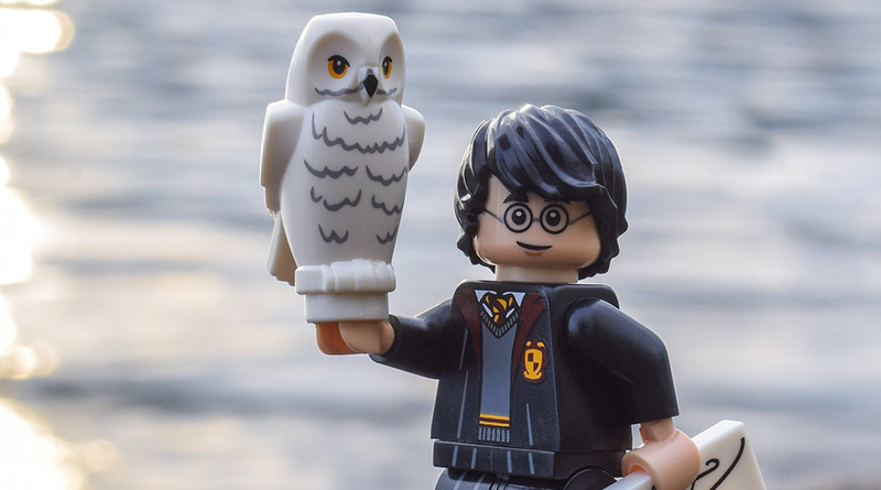 Brick Pic of the Day: Harry and Hedwig