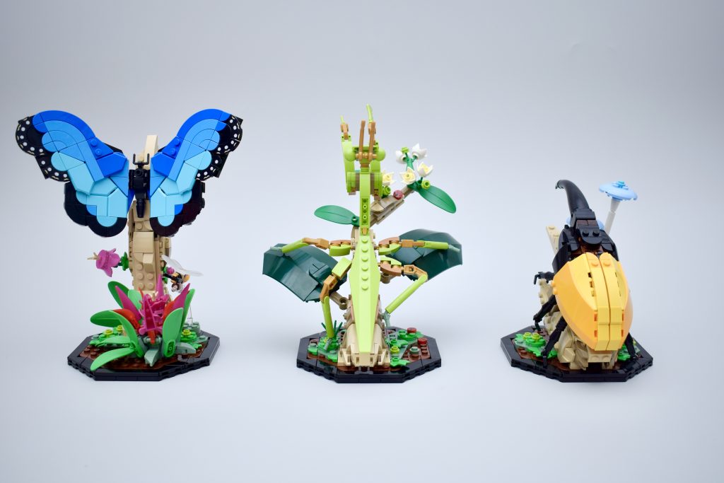 LEGO Ideas 21342 The Insects Collection Review 2 1024x683