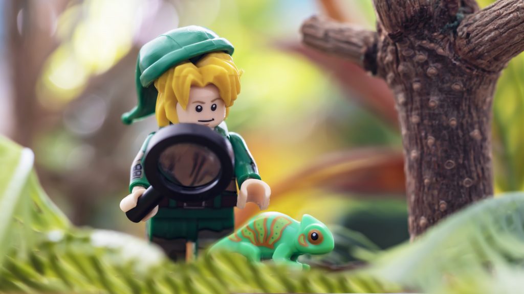 Brick Pic of the Day: Catching lizards