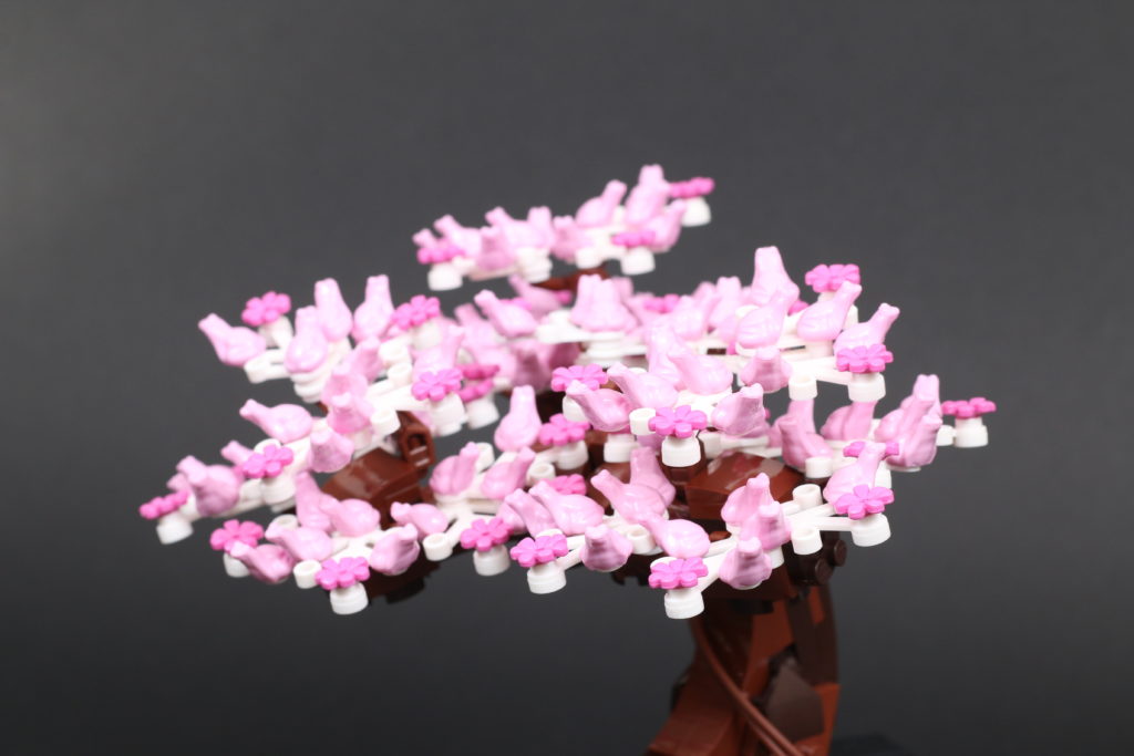 LEGO Botanical Collection 10281 Bonsai Tree review 45